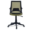 Ddeasirea Mid Back Ergonomic Chair in Pearl Green Colour