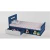 Groovy Love Engineered Wood Drawer Storage Bed in Electric Blue Colour