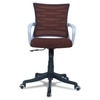 Xxeana Mid Back Ergonomic Chair in Brown Colour