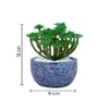 Attractive Succulent Plant With Blue Pebble Patterned Design Ceramic Pot