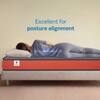 Sleepwell Ortho Pro Mattress Medium Firm Neem Fresche Cool Yarn Fabric Queen 72x60x5 Inch