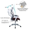 Wiweangs High Back Ergonomic Chair in Brown Colour