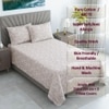 Creamy Beige Floral Cotton  400 Tc Flat  Single Bed Size  Bedsheet With 2 Pillow Covers