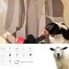Handmade Wool Shaped Rug Modern Minimalist Beige 3 x 5 Feet Carpet