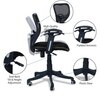 Odrione Low Back Ergonomic Chair in Black Colour