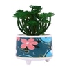 Attractive Succulent Plant With Flowers Print Ceramic Pot