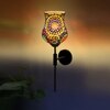 Devansh Metal Electric Wall Light in Black Colour with Multi Shade Count of 1 Light
