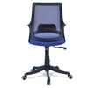 Ddeasirea Mid Back Ergonomic Chair in Blue Colour