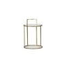 Meylon Metal Side Table in Gold Finish