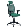 Jeaorda High Back Ergonomic Chair in Dark Green Colour