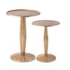Radiant Gold Duo Metal Side Tables Set in Gold Colour