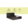 Ischia Solid Wood Queen  Size Bed With Drawer Storage (Melamine Finish)