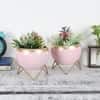 Apple Shape Metal Planter Set Of 2 In Pink And Gold Colour