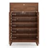 Webster 15 Pair Shoe Rack With Drawer in Sheesham Finish