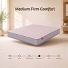 Kurlon Ortho Plus Spring Medium Firm Single Orthopedic Mattress 84x36x8 Inch