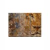 Truss Brown Pieces Barbary Lion Canvas Wall Prints Canvas Wall Prints Set of 3 Multicolor Matte