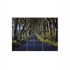 Truss Green Blue Pieces Dark Hedges Canvas Wall Prints Canvas Wall Prints Set of 3 Multicolor Matte
