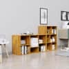 Hexa Engineered Wood Bookshelf Multipurpose Storage Rack in Giant Wood Colour