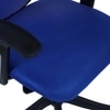 Odrione Low Back Ergonomic Chair in Blue Colour