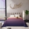 Stoa Paris Comforter for King Size Bed, 300 TC Ultra Satin Fabric  Peach Twilight