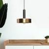 Avalon Metal Hanging Light