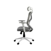 Lukano High Back Ergonomic Office Chair in Grey Colour