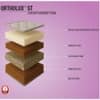 Repose Ortholux ST Multi Reinforced Coir with Memory Foam Mattress (L x W: 78 inch x 48 inch, Thickness 5 Inches )