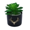 Black 1 Pieces Succulent Artificial Plant With Pot
