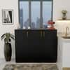 Spydercraft Accent Modern Cabinet in Black Finish