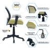Xxeana Low Back Ergonomic Chair in Pearl Green Colour