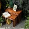 Syra Solid Wood Nesting Stool Set In Provincial Teak Finish