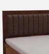 Dijon Sheesham Wood Queen Size Bed in Honey Oak Finish With Box Storage 60x78 inches