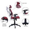 Reaii Mid Back Ergonomic Chair in Red Colour