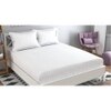 Leo White Solid 210 TC Cotton King Size Bedsheet with 2 Pillow Covers