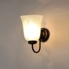 Devansh Metal Electric Wall Light in black Colour with White Shade Count of 1 Light