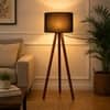 Two Fold Desmond Floor Lamp with Black Shade