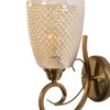Eliante Modern Wall Lights Mild Steel & Glass Material Antique & Champaign Finish