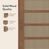 Fujiwara 20 Pair Solid Wood and Cane Shoe Cabinet With Drawer In Amber Walnut Finish