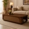 Linden Sheesham Wood Cane Coffee Table in Walnut Finish