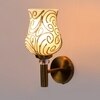 Devansh Metal Electric Wall Light in Gold Colour with Multi Shade Count of 1 Light