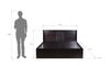 Graces Engineered Wood Queen  Size Bed With Box Storage (Walnut Finish)