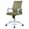 Mmarveal Mid Back Ergonomic Chair in Pearl Green Colour