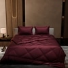 Stoa Paris Comforter Set Double Bed, 300TC Satin Double Bed Comforters in Velvet Wine