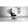 Insignia Study Chair