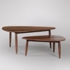 Abel Solid Wood Coffee Table in Brown Colour