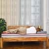 Luxurino Pillow Top With Ispt Tech.
 (84 x 66 in, 5 Inches)