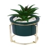 Aloe Vera Plant In Green Ceramic Pot With A Metal Stand
