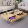 Hexa Engineered Wood Coffee Table With 2 Drawers In Giant Wood
