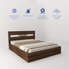 Hestia Engineered Wood Queen  Size Bed Without Storage (Walnut Finish)