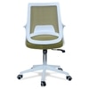 Xeanea Mid Back Ergonomic Chair in Pearl Green Colour